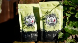 Leśne Licho 100g- 2szt